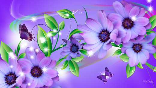 925586 (a): :1920x1080